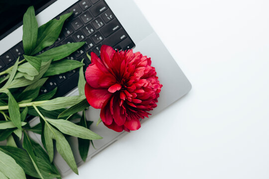 Red peony on laptop keyboard