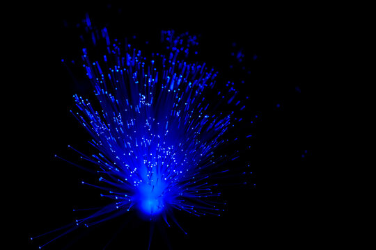 Shimmering blue optical fiber strands
