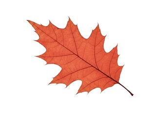 Obraz premium Crimson Remembrance