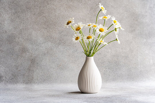 Elegant daisies in ceramic vase with gray backdrop