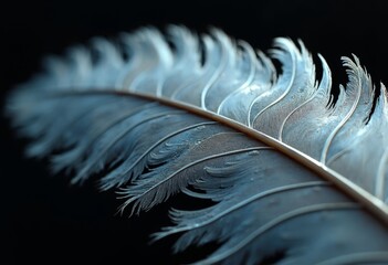 Close up of gray feathers on a dark background