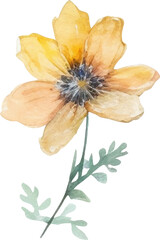 Obraz premium Vector Watercolor painted flower. Hand drawn flower design elements isolated on white background.