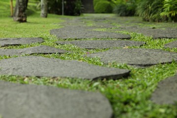 Stone walkway with green grass outdoors, closeup