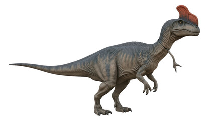 Isolated Dilophosaurus on White Background