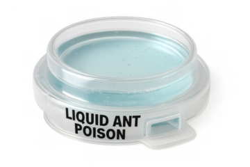 Liquid ant poison bait station isolated on transparent background
