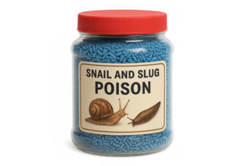 Snail and slug poison in clear jar with red lid on transparent background
