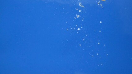 Two white Mushrooms Champignons Sinking into Clean Water with Water Splash Effect Slow Motion - Powered by Adobe