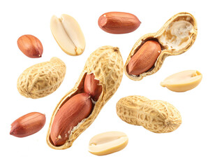 Set of nuts isolated isolate on transparent background.