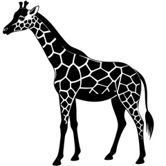 Fototapeta premium Giraffe silhouette isolated on white background