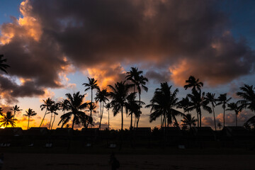 Silhouettes of palm trees during a cloudy sunset in Pernambuco, Brazil.