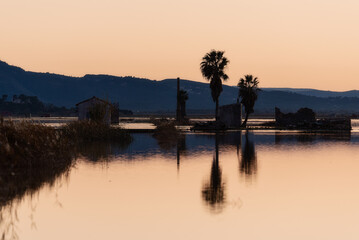 Albufera's Twilight: Orange Hues Rural Charm