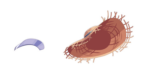 Digital illustration of a straw hat next to a purple visor or open cap. Clean lines and pastel colors create a simple, playful aesthetic. Perfect for design projects.