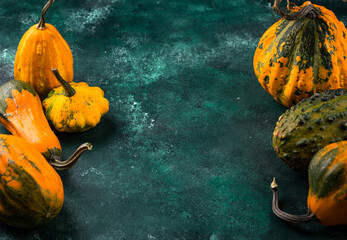 Various decorative pumpkin on green background
