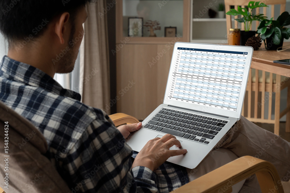 Poster accounting software on computer screen showing financial statement spreadsheets and account balance 