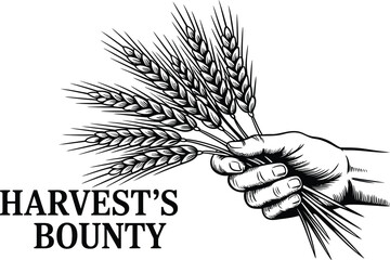 A hand holding a bundle of wheat stalks in a black and white drawing with harvest's bounty text below it