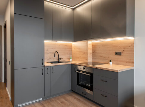 Modern Home Apartment Kitchen Design With Gray Cabinets and Wooden Countertops