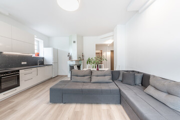 Modern Open-Concept Kitchen and Living Room with Contemporary Furniture and Decor