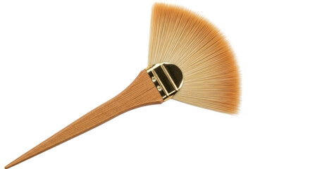 Isolated Fan Brush