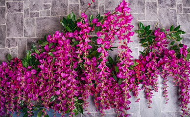 Rich purple flowers hanging on a gray stone wall, ideal for romantic or festive backgrounds.