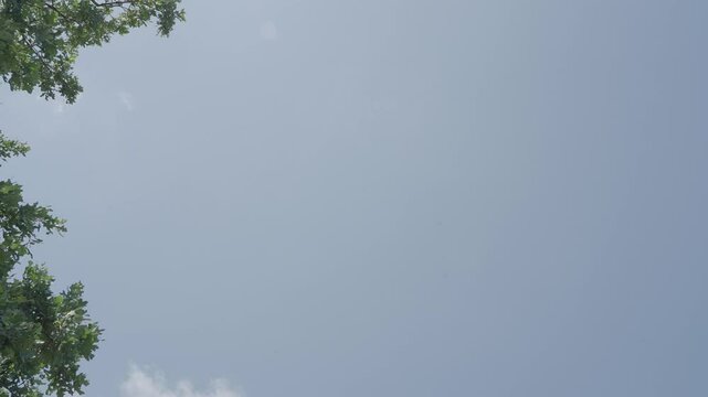 Scattered cloudscape time lapse