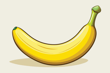  illustration  of banana vector .