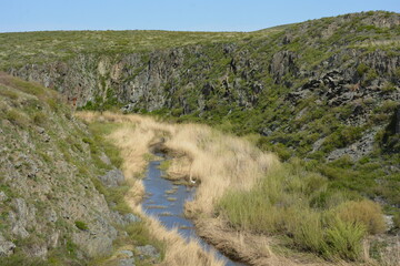 Winding Stream Through Arid Hills and Green Slopes.