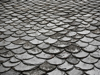 wide grayscale historical roof top covered with old stone shingles of irregular size
