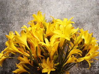 Bouquet of yellow daylily  on gray background.