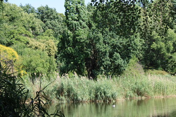 A serene view of a calm body of water reflecting the clear blue sky above.