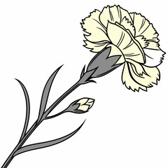 vector illustration of a yellow carnation