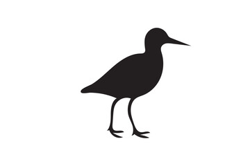 Obraz premium Sandpiper bird silhouette on white background.
