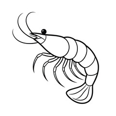 vector illustration of a shrimp on white background