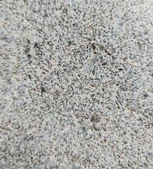 Close-Up of Polished Granite Surface with Natural Speckled Texture
