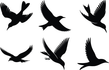 Bird Silhouette illustration, Flying Birds Svg Vector Art and White Background. Bird icon graphics.