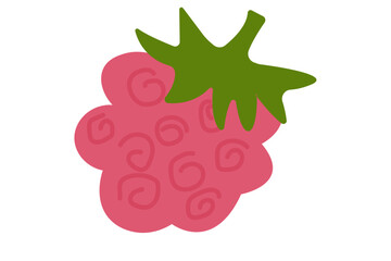 Flat style raspberry illustration. Red summer berry for label or packaging