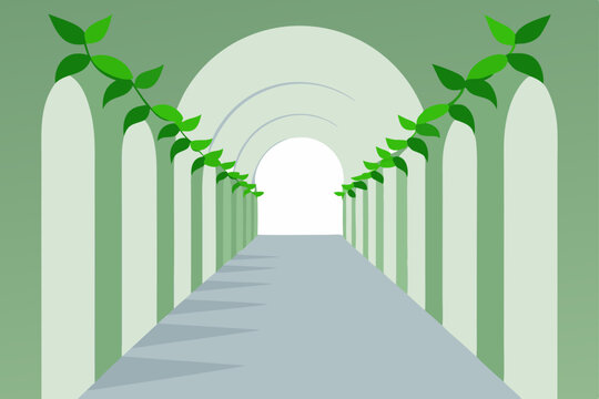 white corridor with growing green vines