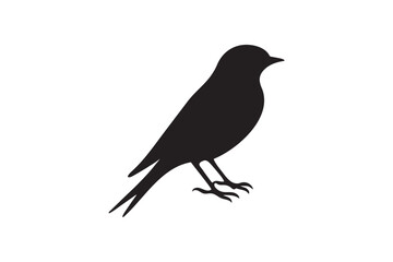Swallow  bird silhouette on white background.