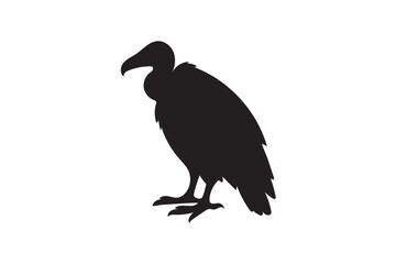 vulture  bird silhouette on white background.