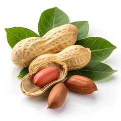 Fresh peanuts in shells with green leaves