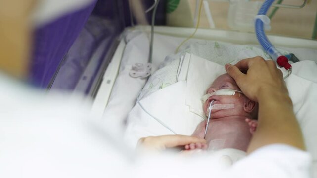 A premature baby lies in an incubator, hand held by an adult. The infant has medical equipment attached while resting on white linens.