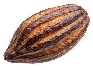 Cat Latte Art A Cup of Feline Fun - Expressive Coffee Design Depicting a Cute Kitten