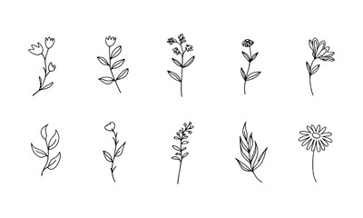 Simple Wildflower Sketch. Minimal line sketch of wildflowers with varied petal shapes and stems, suitable for understated natural design.