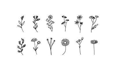 Simple Black Flower Group. Flat black flower silhouettes with soft rounded petals and organic stems.