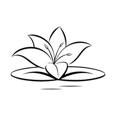 Fototapeta premium black and white lily