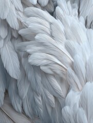 Obraz premium Closeup, white and feathers background for peace, calm and spirituality for God, religion and hope. Ai generated, feather and bird plumage for creative banner, texture or detail space for angel faith