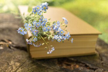 Book with forget-me-nots on tree stump in sunlit garden