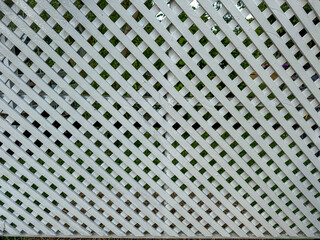 A white lattice fence features a diagonal pattern, providing a view of lush greenery beyond. The...