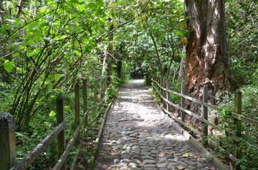 Callejuela Colonial