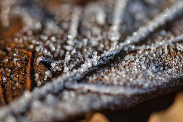Frost_Makro