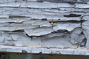 Weathered peeling paint on old wooden surface exposing wood texture